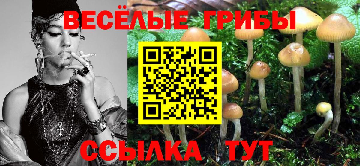 Псилоцибиновые грибы GOLDEN TEACHER Нижний Тагил